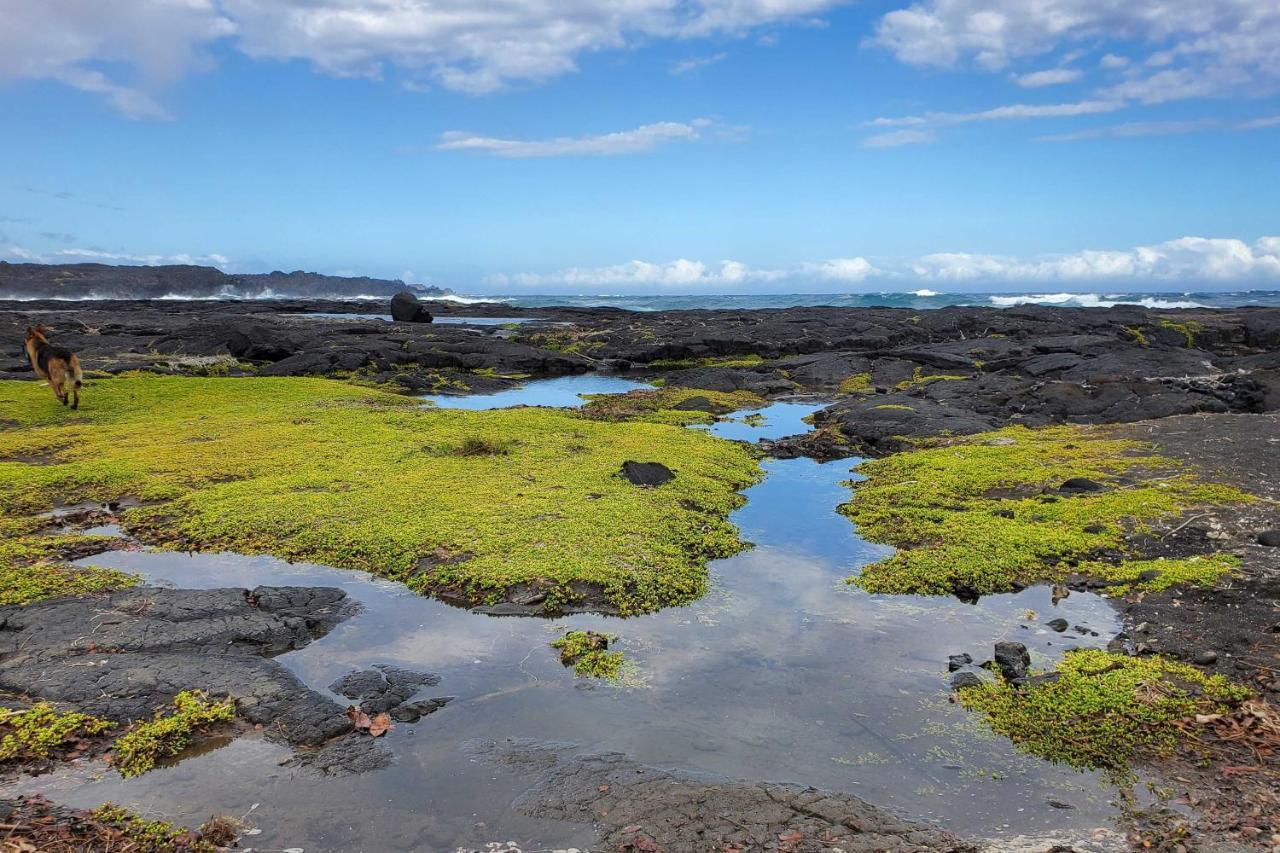 The Aloha Green House Retreat With Ocean Views! Naalehu Exteriör bild