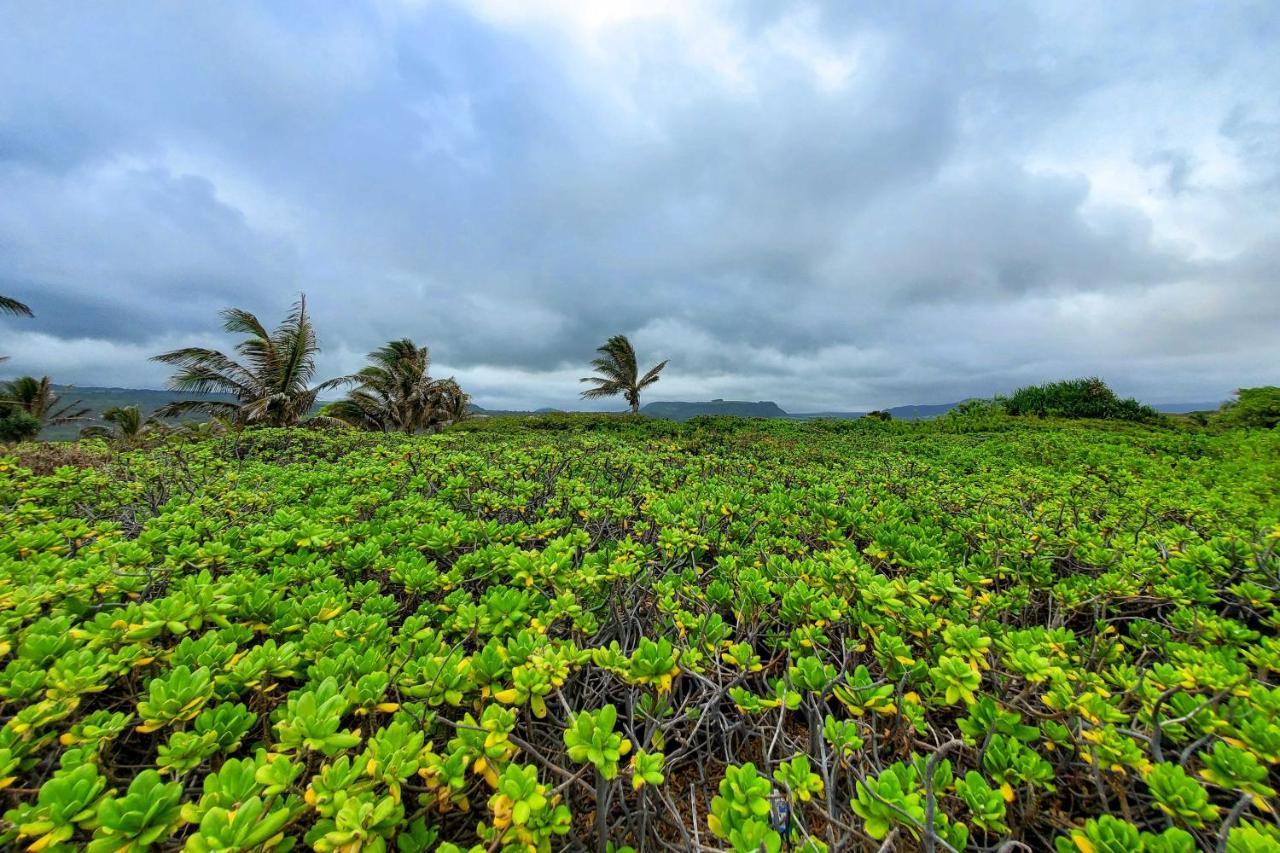 The Aloha Green House Retreat With Ocean Views! Naalehu Exteriör bild