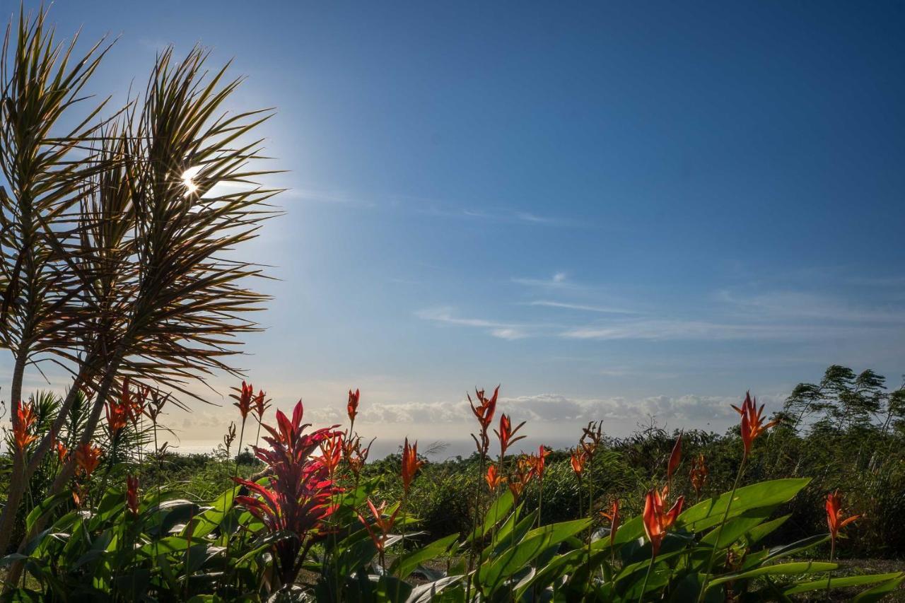 The Aloha Green House Retreat With Ocean Views! Naalehu Exteriör bild